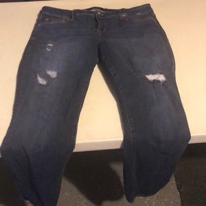 Torrid jeans